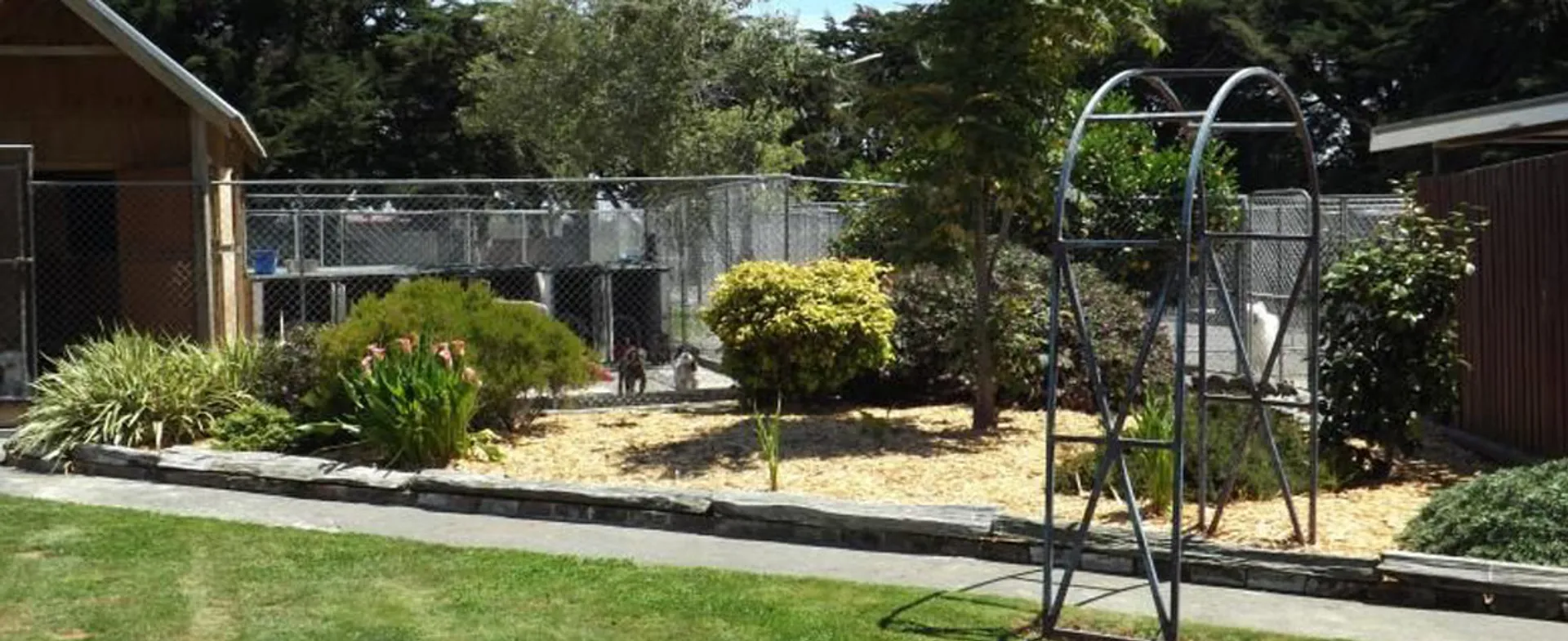 Creature Comforts Pet Lodge Facilities